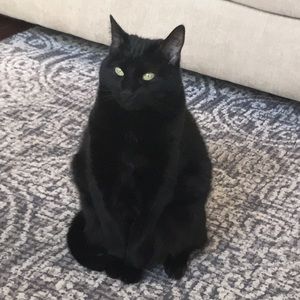 Meet your Posher, Jessica